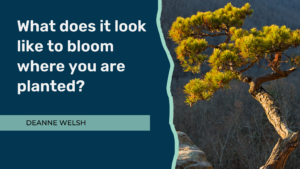 What does it look like to bloom where you are planted?